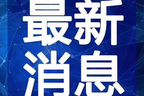 夜兰最新爆料视频下载,神秘事件背后的真相揭晓